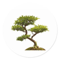 Bonsai plant sticker