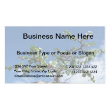 Bonsai portulacaria afra tree 2 business card template