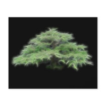 Bonsai Tree Green Plant Custom Flyer