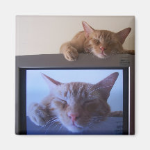 Boo Boo da Sleepy Fridge Magnet