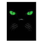 Boo - Emerald Postcard