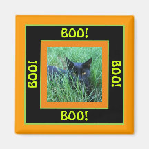 Boo Halloween Cat magnet