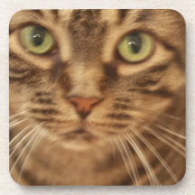 Boo Kitty Coaster