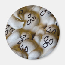 BOO! MAGNETS