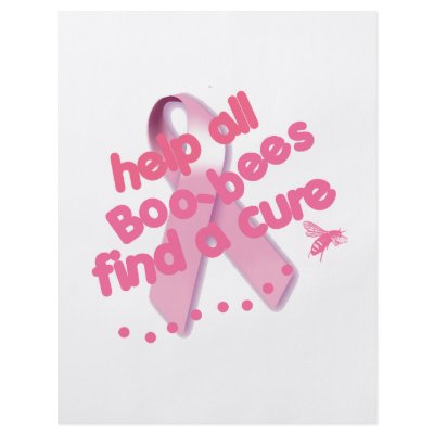 boobees flyer by billishirts