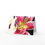 Boobins Stargazer Lily Greeting Card