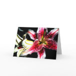 Boobins Watercolor Stargazer Lily Greeting Card