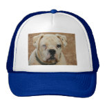BOOBOO HAT