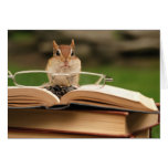 Book loving chipmunk greeting cards