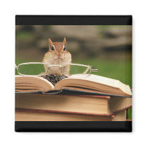 Book loving chipmunk