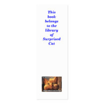 Book mark: This book belongs to the library of: