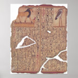 Book of the Dead - Ani Posters