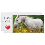 Bookmark - Eriskay Pony wild flowers rack cards