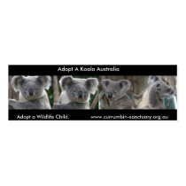 Bookmark Koalas Adopt a Wildlife Child Australia