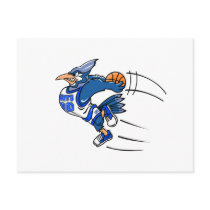 Boomer Blue Jay Postcard