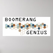 Boomerang Genius Posters