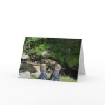 "Boots at Linhope Spout, Ingram Valley" Greeting Cards