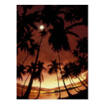 Bora Bora, French Polynesia Sunset shot through Post Cards