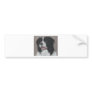 Border Collie 3 Bumper Stickers