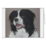 Border Collie 3 Card