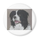 Border Collie 3 Refrigerator Magnets
