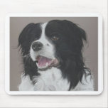 Border Collie 3 mousepads