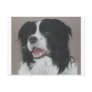 Border Collie 3 Post Cards