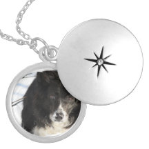 border-collie-8.jpg locket