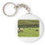Border Collie 8M051D-10 Keychain