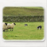 Border Collie 8M051D-10 Mouse Pads
