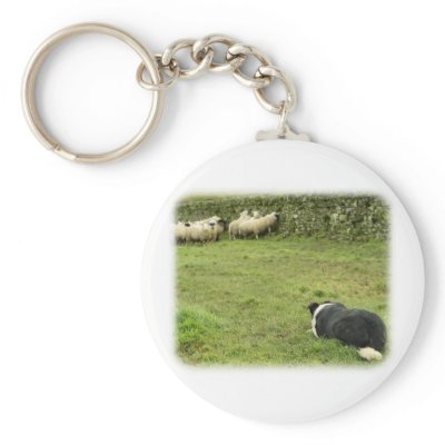 Border Collie 8M052D-05 Key Chains by TraffordPhotos