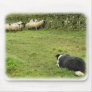 Border Collie 8M052D-05 Mouse Mats