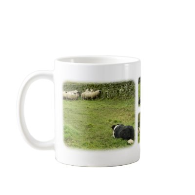 Border Collie 8M054D-05, Border Collie 8M052D-0... Mug by TraffordPhotos