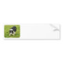 Border Collie 8M054D-05 Bumper Sticker