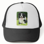 Border Collie 9A014D-14 Mesh Hat