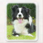 Border Collie 9A014D-14 Mouse Mat