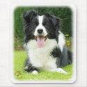 Border Collie 9A014D-14 mousepads