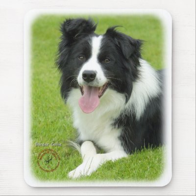 Border Collie 9A014D-25 Mouse Pad by TraffordPhotos