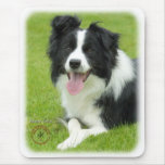 Border Collie 9A014D-25 mousepads