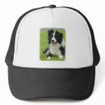 Border Collie 9A015D-10_2 Hats