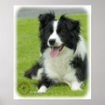 Border Collie 9A015D-10_2 Print