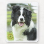 Border Collie 9A015D-24_2 Mouse Mats