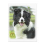 Border Collie 9A015D-24_2 Postcard