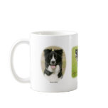 Border Collie 9A015D-24, Border Collie 9Y411D-0... Mugs