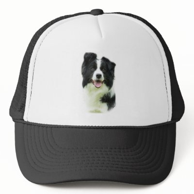 Border Collie 9A015D-24 Trucker Hat by TraffordPhotos