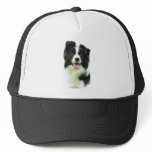 Border Collie 9A015D-24 hats