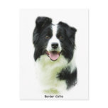 Border Collie 9A015D-24 Post Card