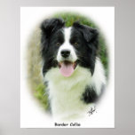 Border Collie 9A14D-19 Poster