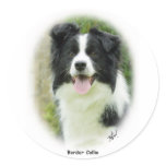 Border Collie 9A14D-19 Stickers
