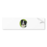 Border Collie 9A14D-25 bumper stickers
